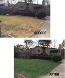 4EverGreen Grass Paint | 10,000 SQ. FT. - 2.5 Gallons