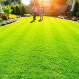 4EverGreen Grass Paint | 1,000 SQ. FT - 32 OZ